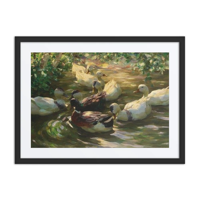 Ducks on a Pond