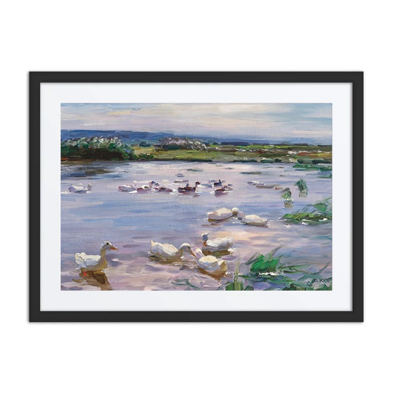 Ducks on the Lakeside