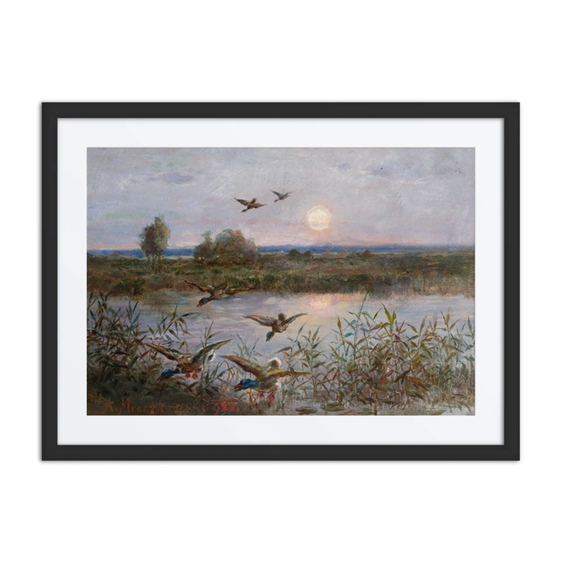 Ducks over Marshes