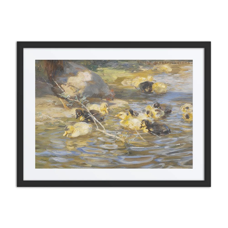 Ducks