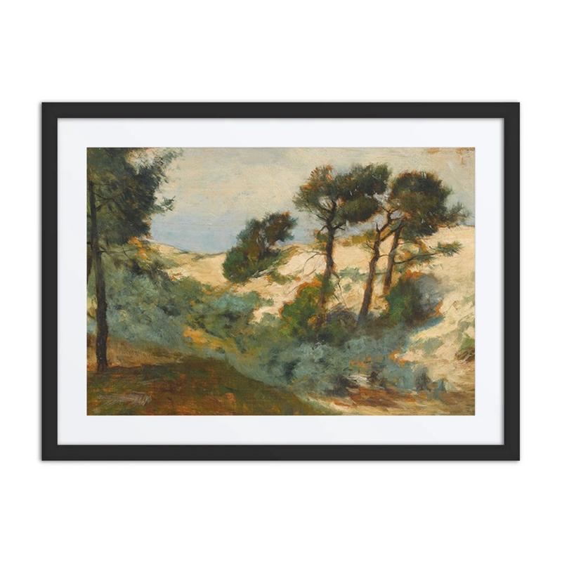 Dunes and Scrub Pine