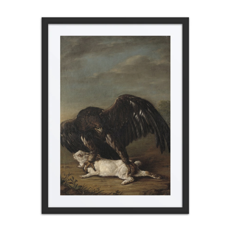 Eagle Catching a Hare