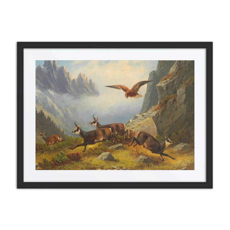 Eagle Hunting Chamois