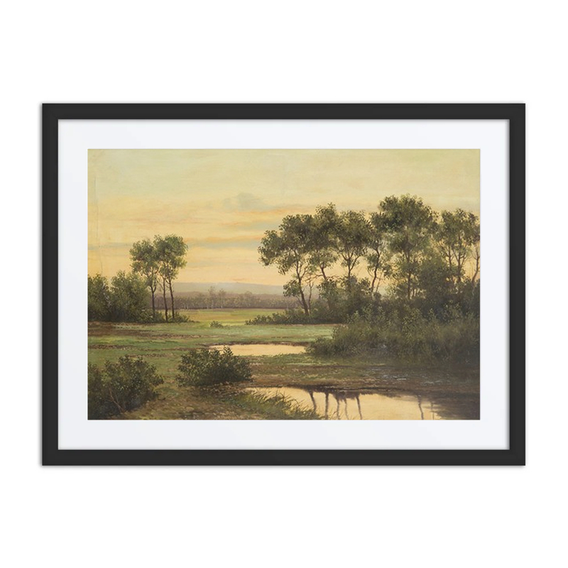 Early Evening Landscape