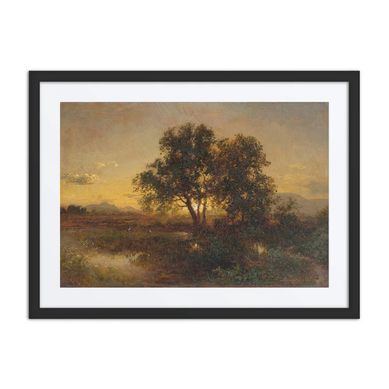 Early Evening Landscape