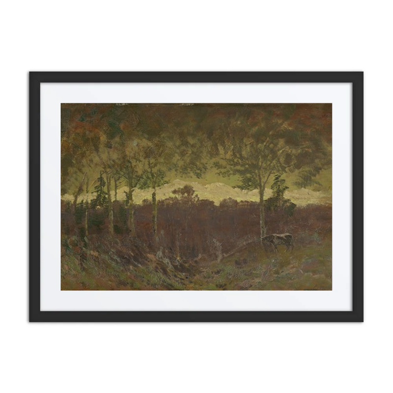 Early Evening Tatras Landscape