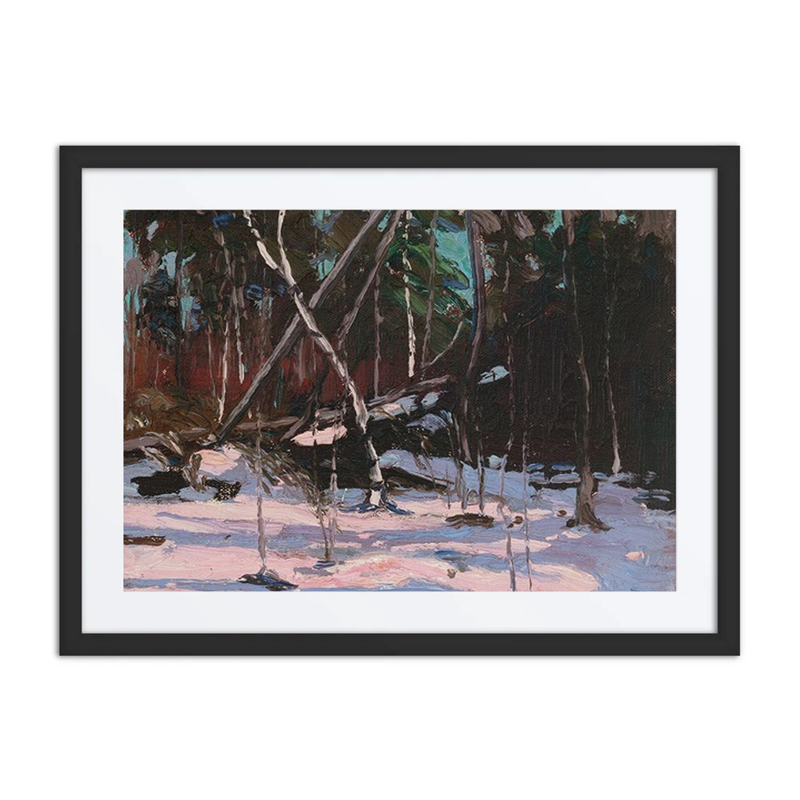 Early Snow, Algonquin Park