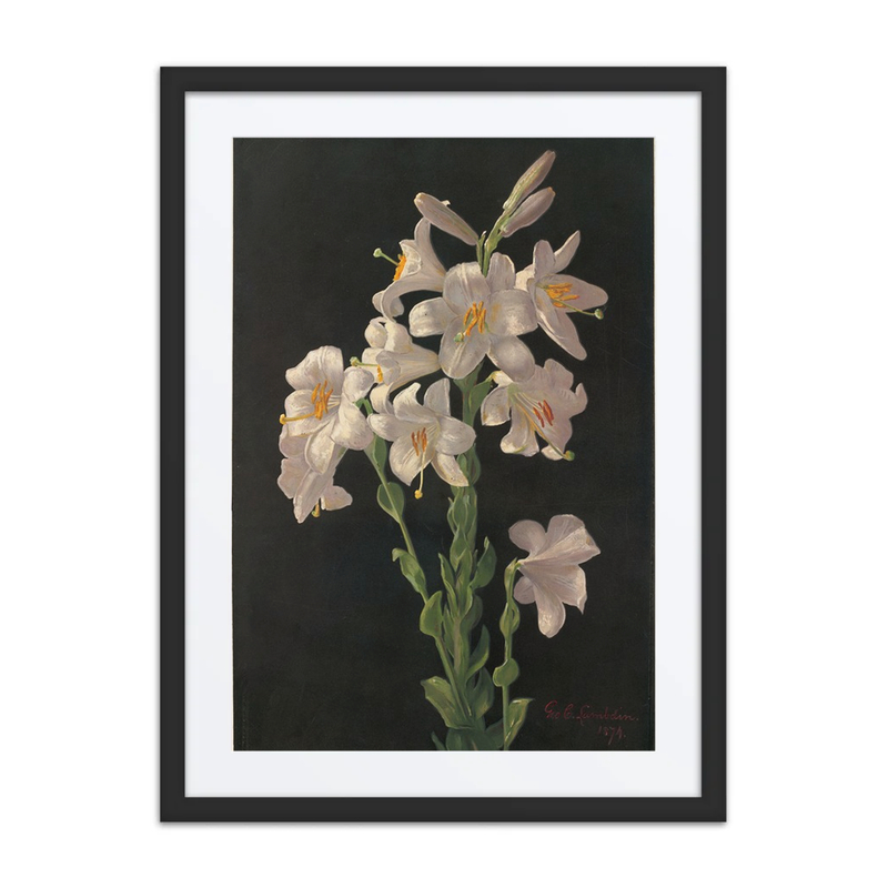 Easter Lilies