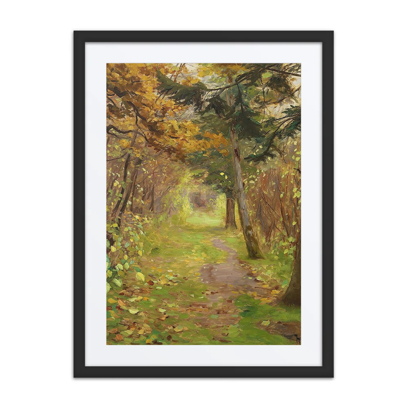 Efterårsdag I Skoven