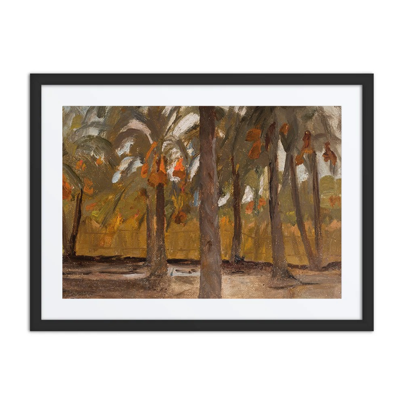 Egyptian Palm Forest