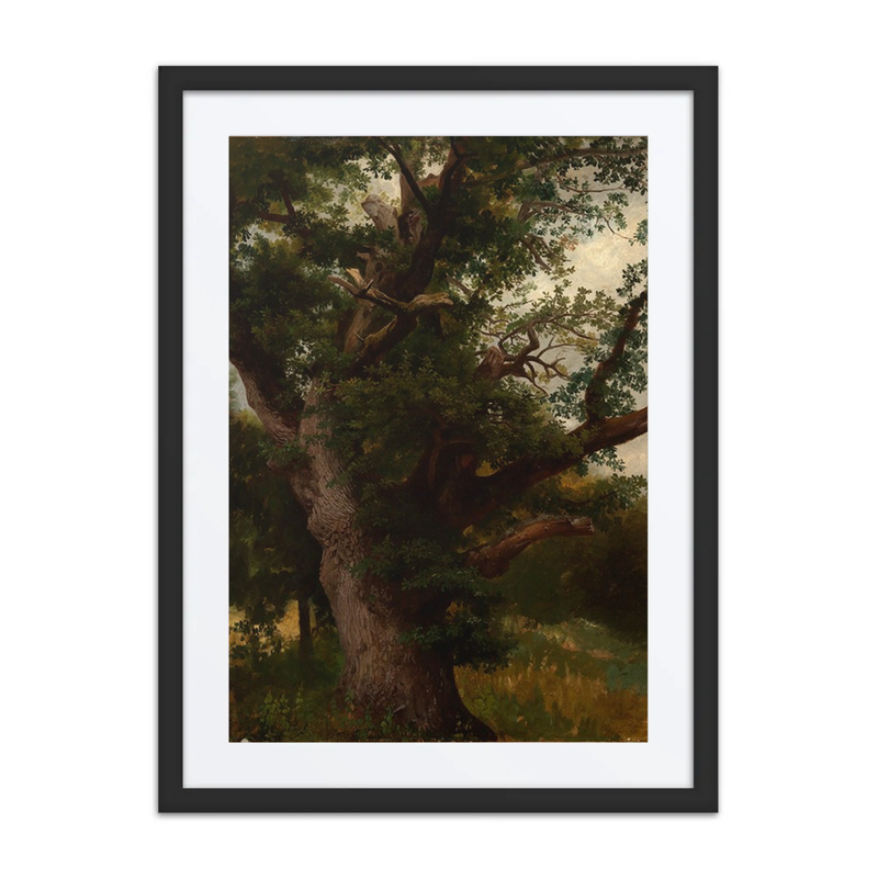 Eichbaum (Oak Tree)