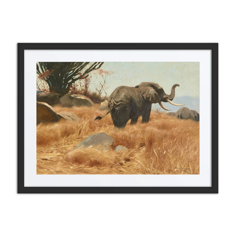 Elefant in Der Savanne