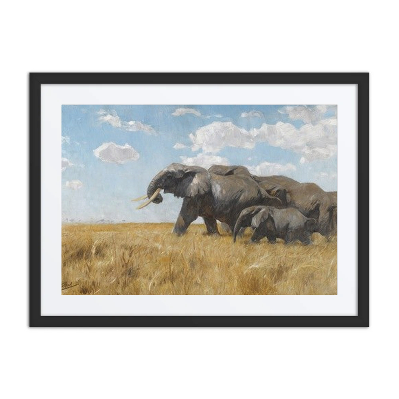 Elephants on the Move