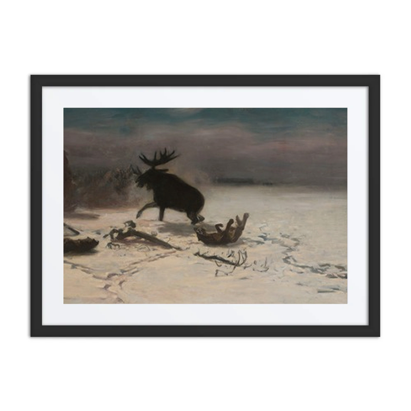 Elk Fighting Wolves