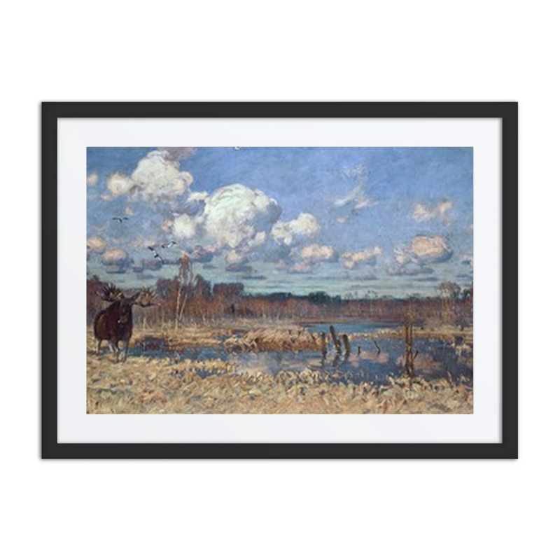 Elk in Marsh