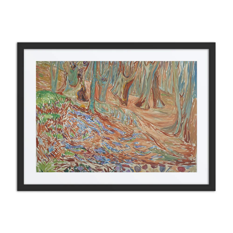 Elm Forest in Spring