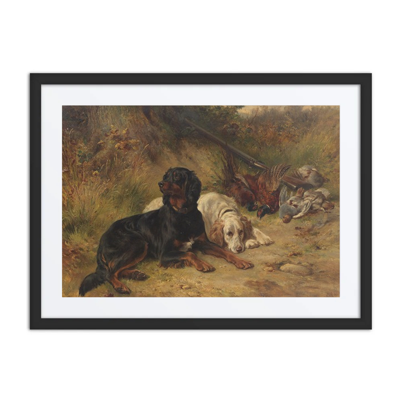 End of the Day – Setters at Rest