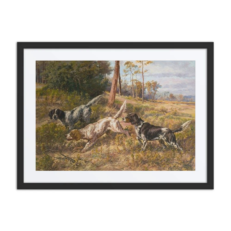 English Setters in Field