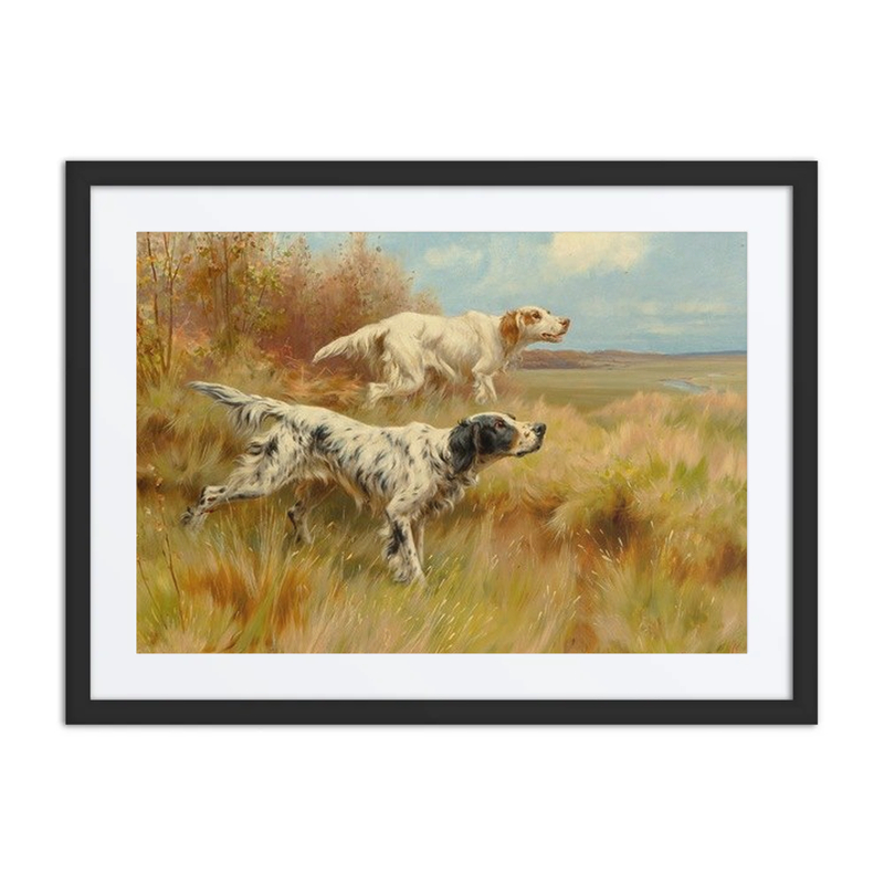 English Setters on Point
