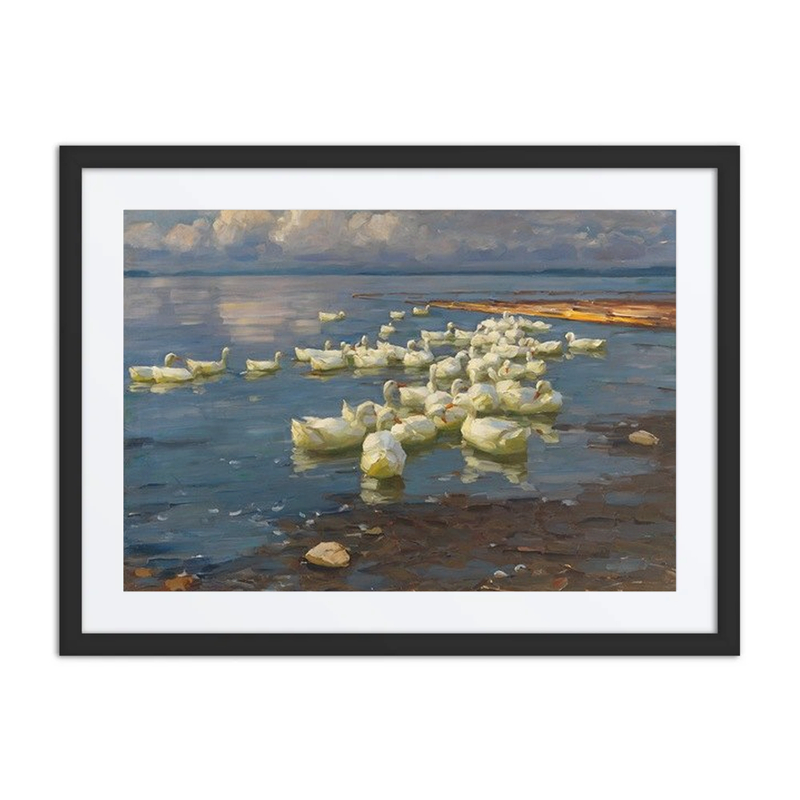 Enten Im See