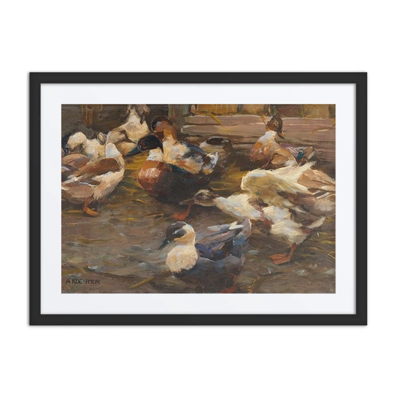 Enten Vor Dem Stall