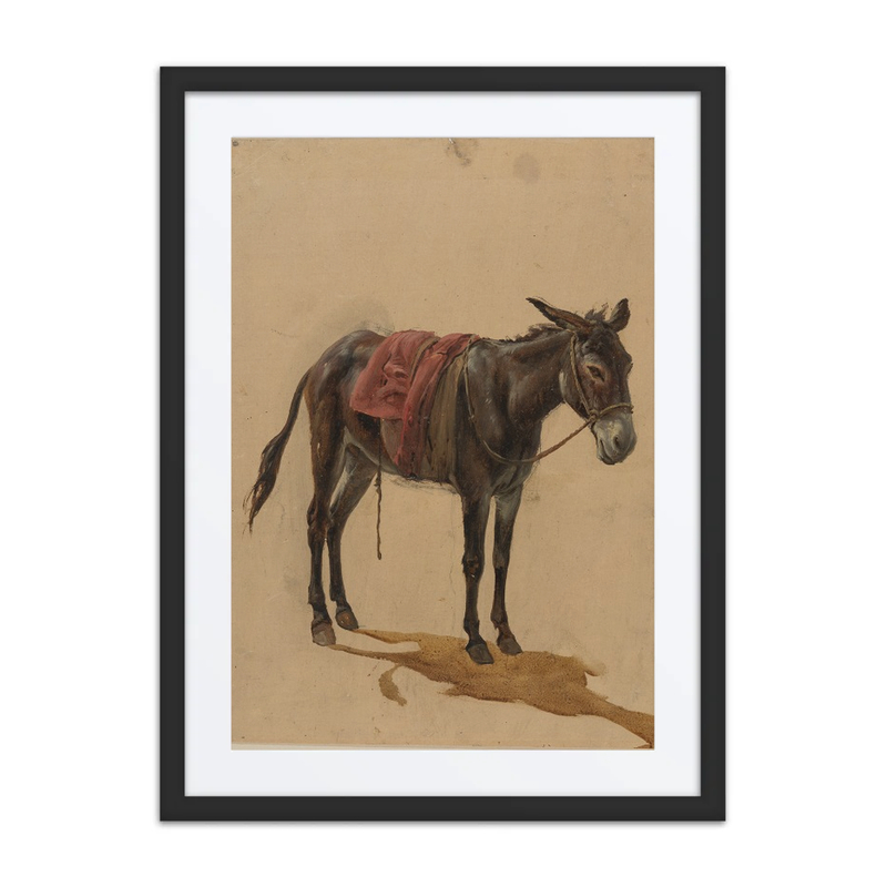 Esel (Donkey)