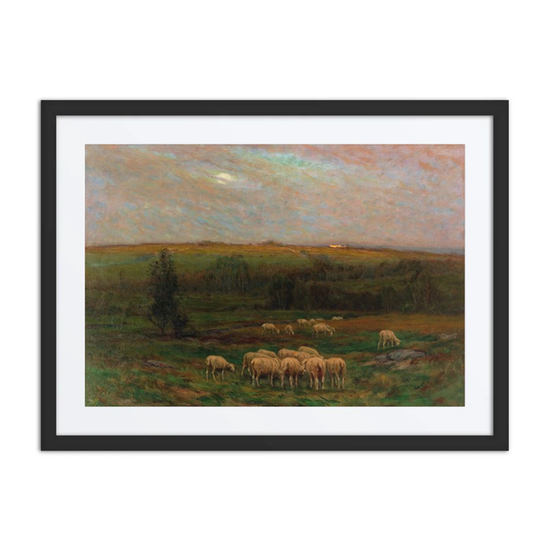 Evening After a Shower