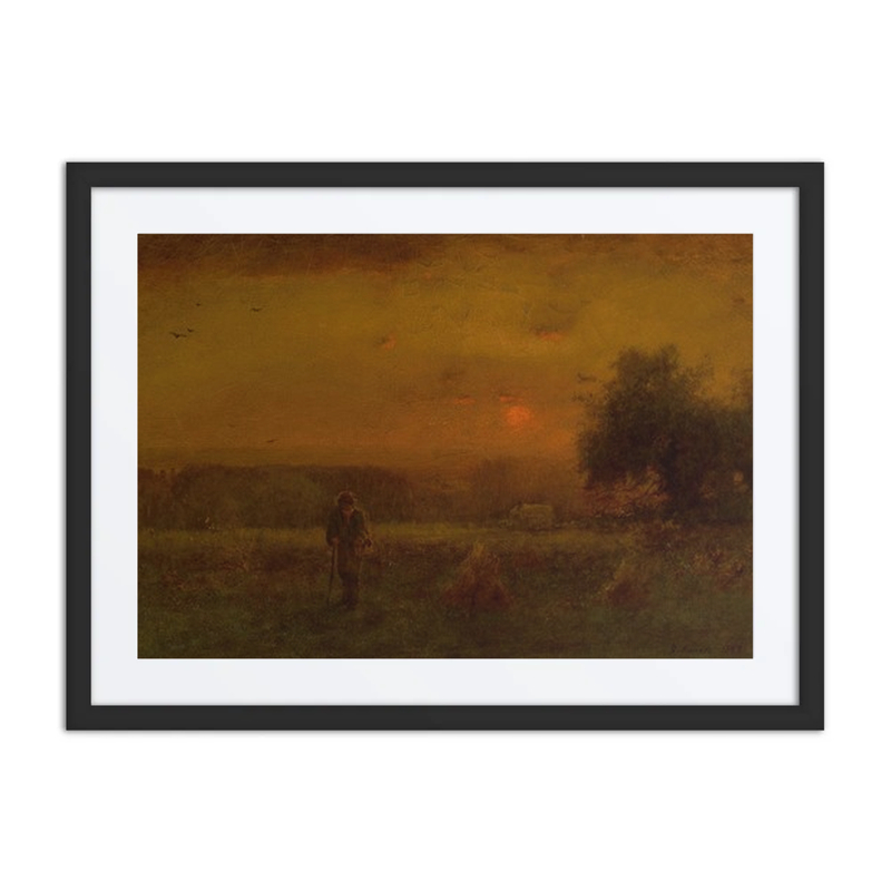 Evening Glow