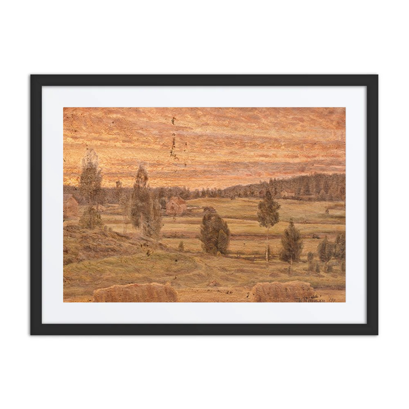 Evening Landscape