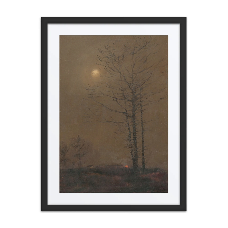 Evening Landscape