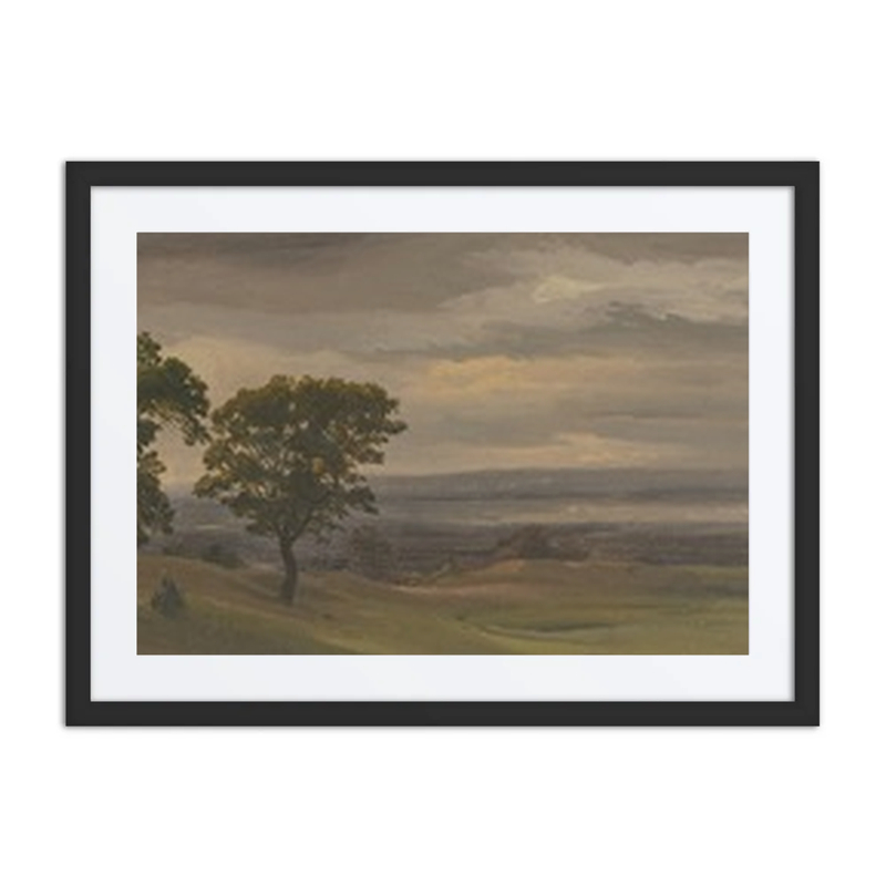 Evening Meadow Landscape