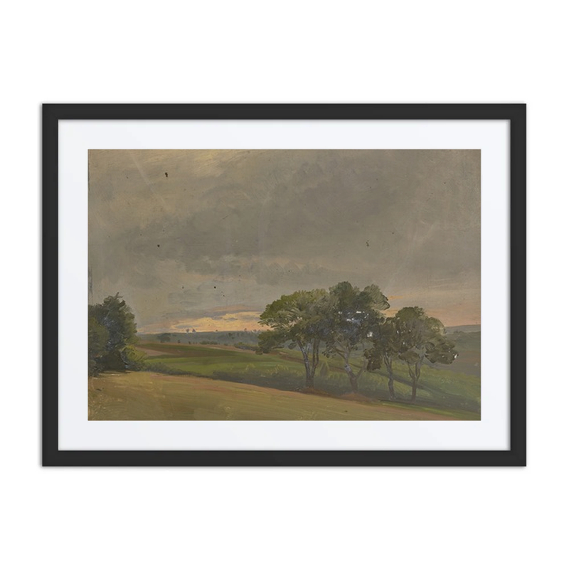 Evening Meadow with Trees