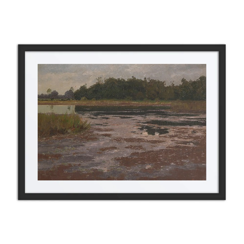 Evening Moor Landscape