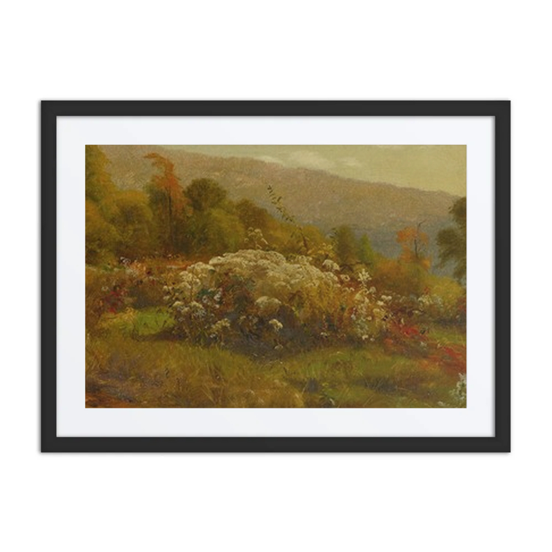 Fall Flowers on a Hillside