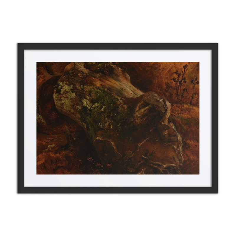 Fallen Tree Trunk with Roots