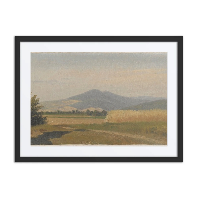 Farm Fields and Mount Sniezka in the Background