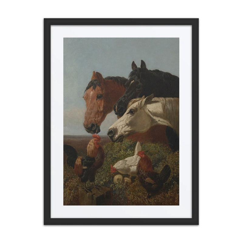 Farmyard Friends