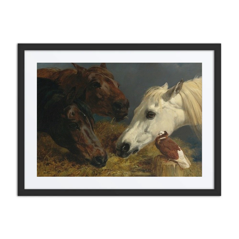 Farmyard Friends