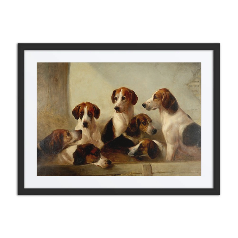 Favorite Hounds