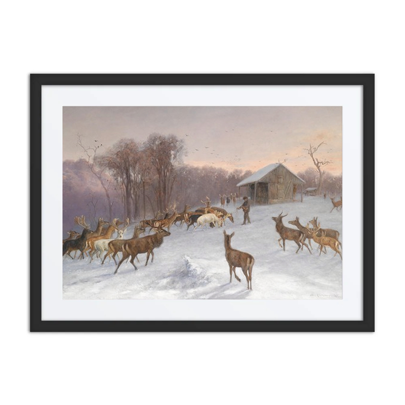 Feeding Deer in Winter
