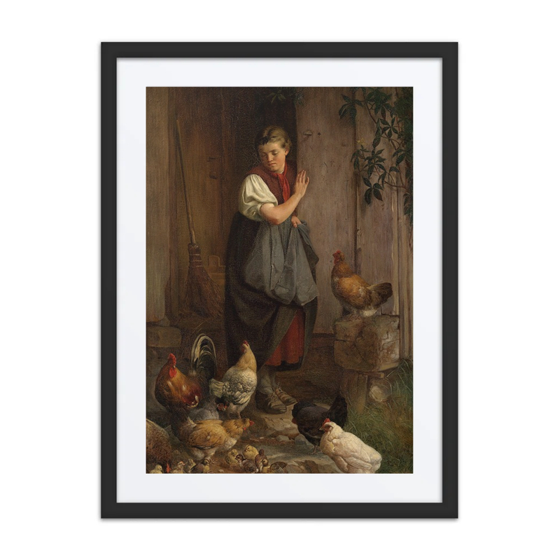 Feeding the Chickens