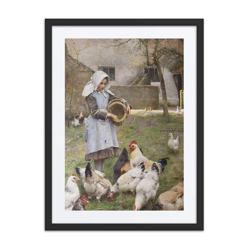 Feeding the Chickens