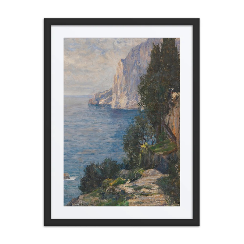 Felsenküste Auf Capri