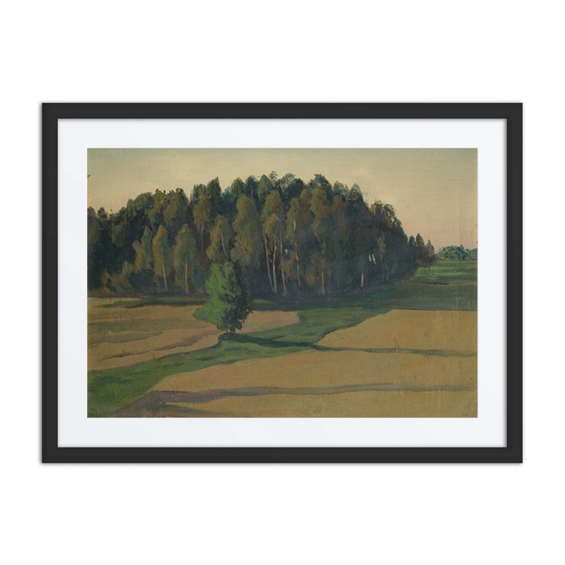 Field and Forest