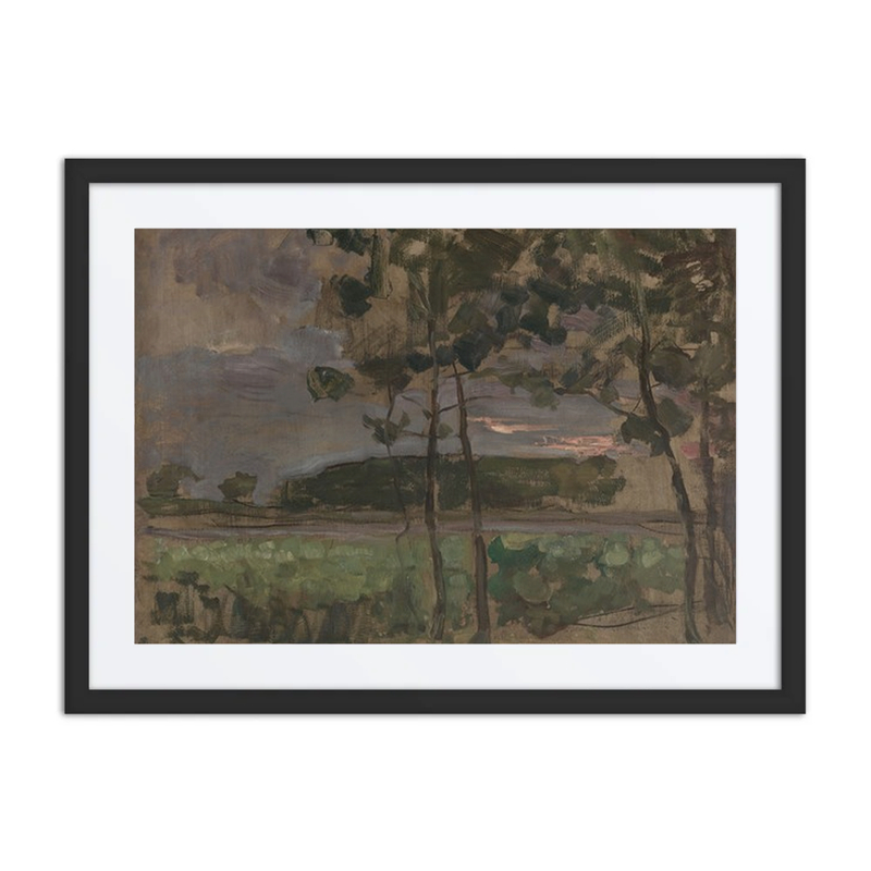Field with Young Trees