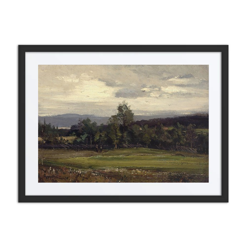 Fields at Hedmark in Summer