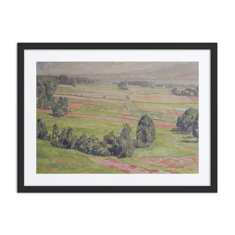 Fields at Mattsee