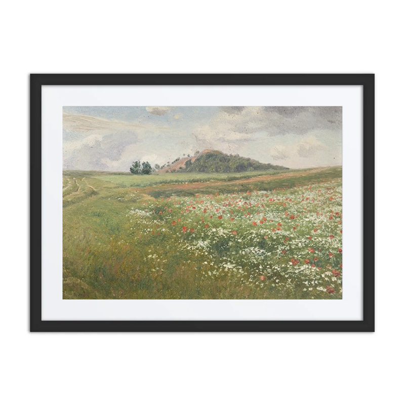 Fields with Wild Poppies