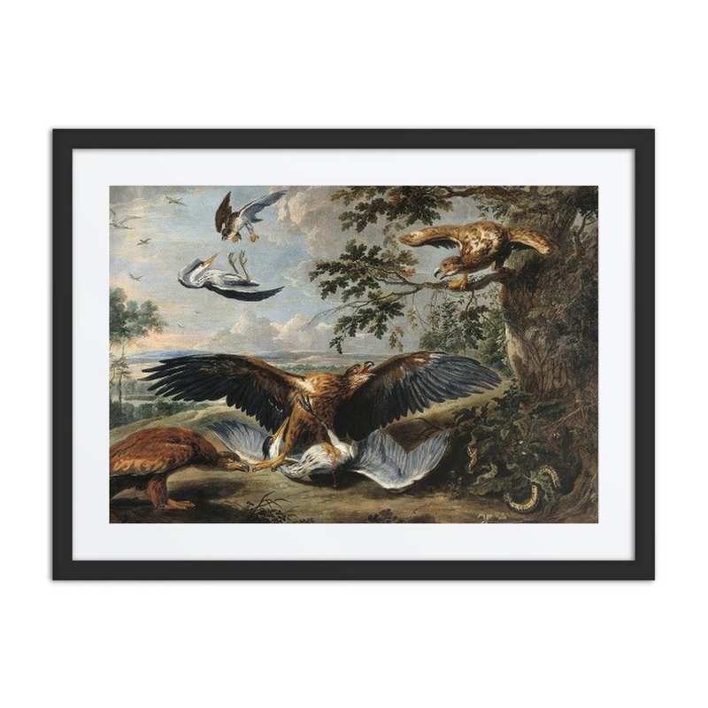 Fight Between Eagles