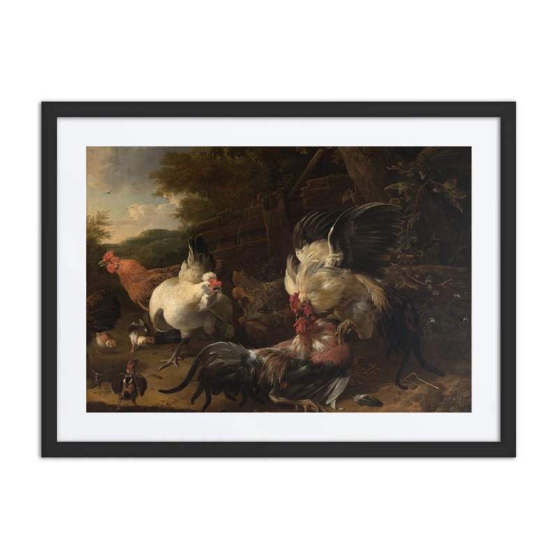 Fighting Roosters